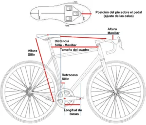 Bike form